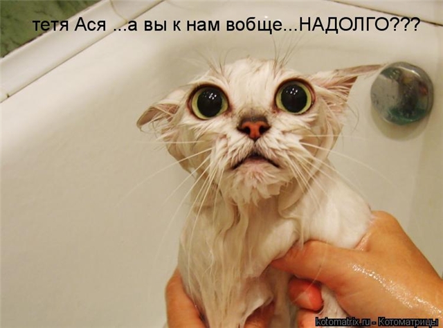 662cccbc242e (640x474, 159Kb)