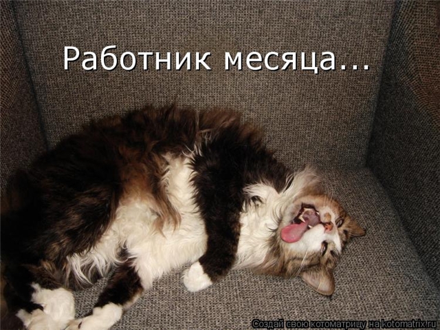 6870750bac36 (640x479, 266Kb)