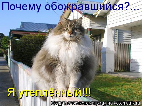 b51ed92a6c76 (500x375, 46Kb)