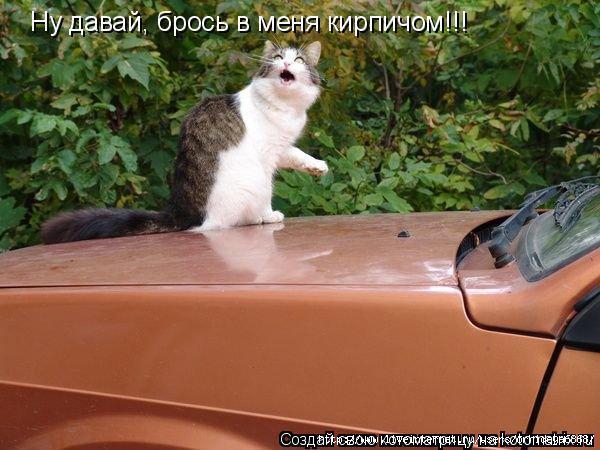 0a05ef928b2fcec82fd10a7caa128b26 (600x450, 144Kb)