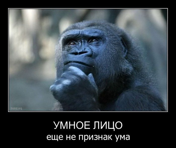 4014748_ymnoe_lico (700x589, 68Kb)