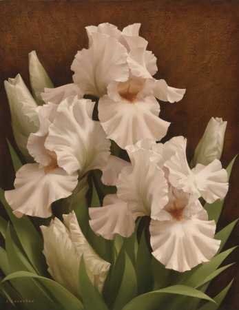 igor-levashov-iris-illumination-i (347x450, 37Kb)