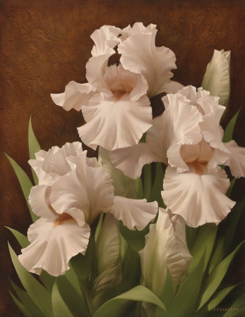 igor-levashov-iris-illumination-ii_002 (347x450, 37Kb)