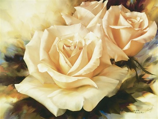 vide_R42694 (668x500, 92Kb)