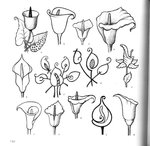 Превью 4000 motifs de fleurs et de plantes (170) (700x683, 90Kb)