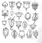 Превью 4000 motifs de fleurs et de plantes (179) (689x700, 106Kb)