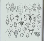 Превью 4000 motifs de fleurs et de plantes (50) (700x654, 101Kb)