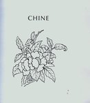 Превью 4000 motifs de fleurs et de plantes (77) (615x700, 50Kb)