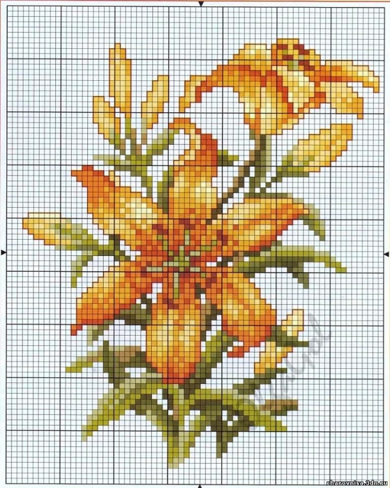 77 (559x700, 347Kb)