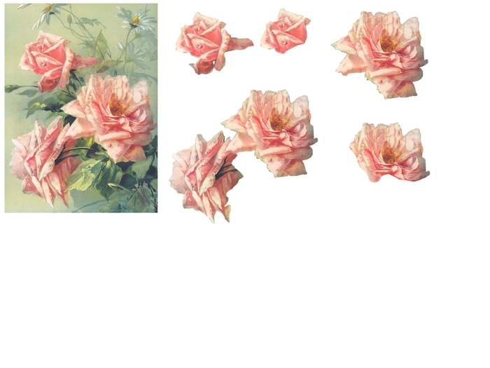 rose rose (700x525, 129Kb)