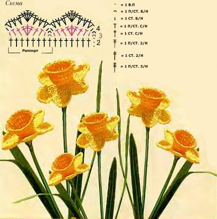 shema_narcissi (447x451, 121Kb)