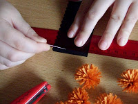 4014748_DSCF1658a (200x150, 13Kb)