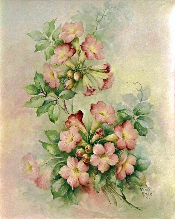 86865834_large_1744806eb6150828289m750x740uf75c3 (560x700, 427Kb)