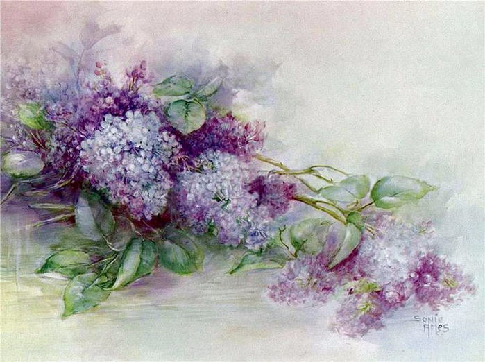 86866010_large_17448019b7050828296m750x740u00b1c (699x522, 381Kb)