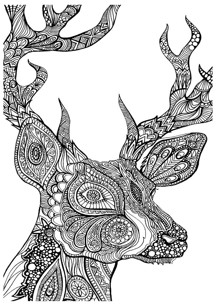 beautiful stag adult colouring zentangle: 