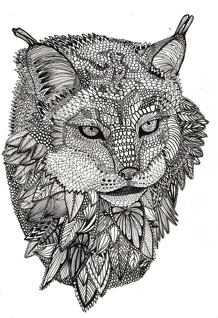 Lynx | by Lily Livingston: 