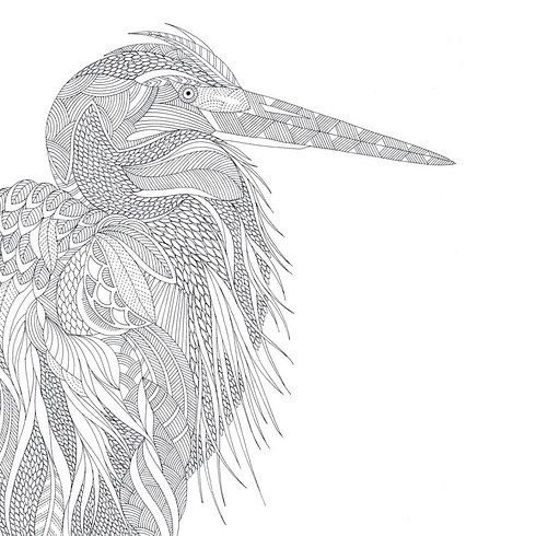 Colouring Books for Grown-Ups: 