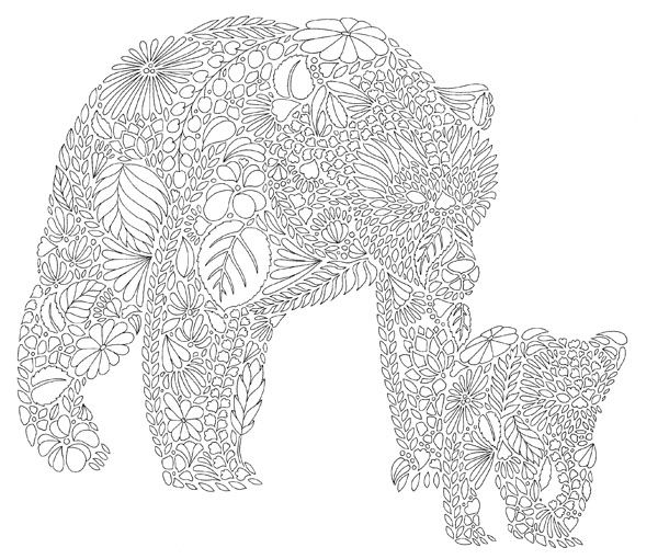 Millie Marotta's Animal Kingdom: Colour Me, Draw Me: 