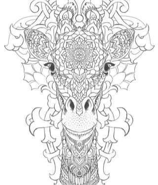 giraffe: 