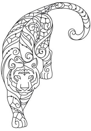 The Delicate Ones - Tiger: 