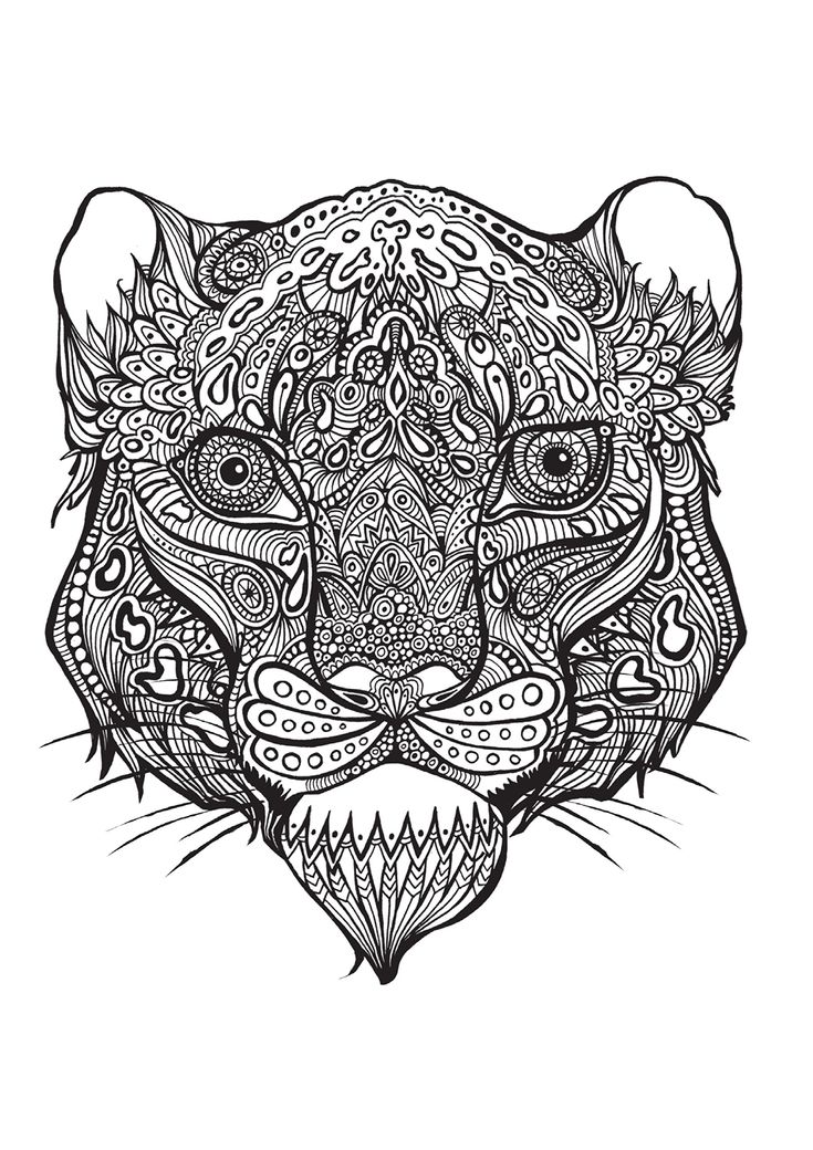 Bestiaire extraordinaire: 100 Coloriages anti-stress: Hannah Davies: 