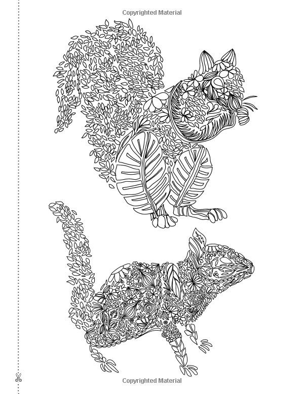 Amazon.com: Dream Catcher: life on earth: A powerful & inspiring adult colouring book celebrating the beauty of nature (9781910771358): Christina Rose: Books: 