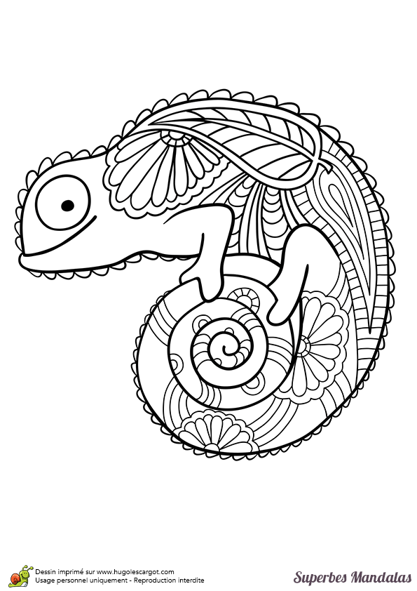 cameleon