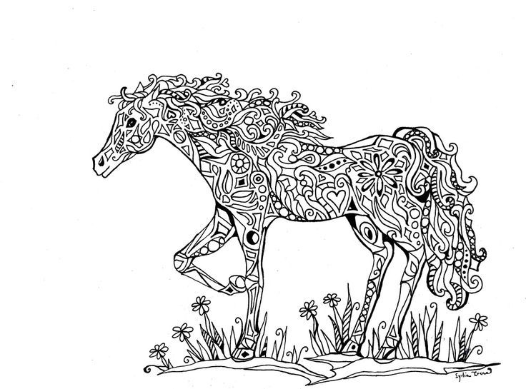 zentangled horse: 