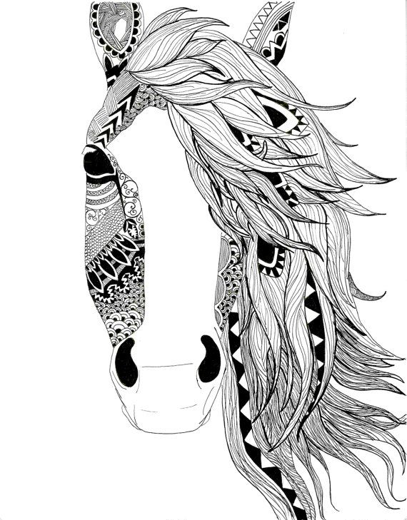 Horse illustration: 