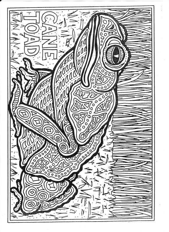 Frog: 