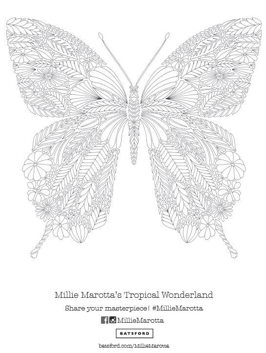 Adult Coloring: Millie Marotta's "Tropical Wonderland" Butterfly Pattern Free Download!: 