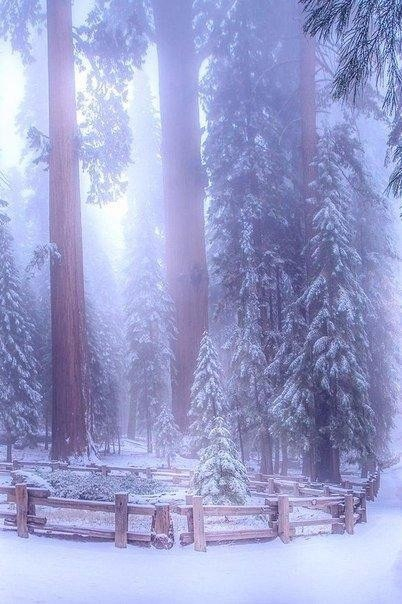 1_DxhMTe4cI (402x604, 243Kb)